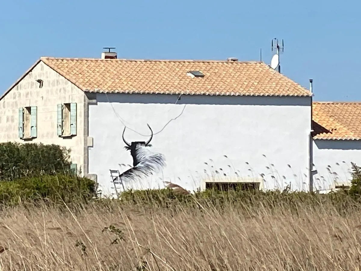 Gîtes Equestres Lou Caloun - Les Saintes Maries de la Mer Les Saintes-Maries-de-la-Mer