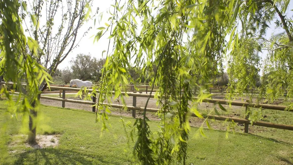 Hébergement de vacances Gîtes Equestres Lou Caloun - Les Saintes Maries de la Mer