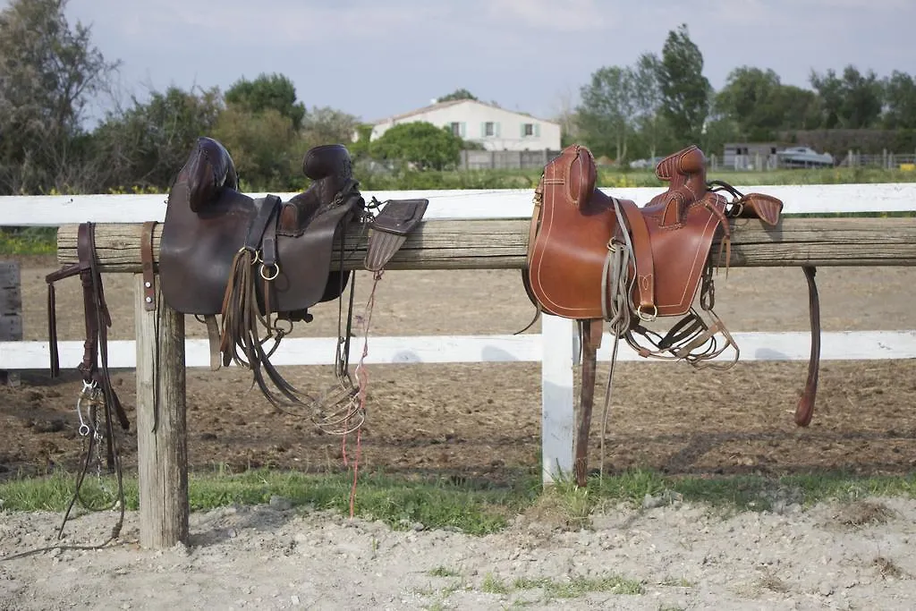 Gîtes Equestres Lou Caloun - Les Saintes Maries de la Mer Hébergement de vacances