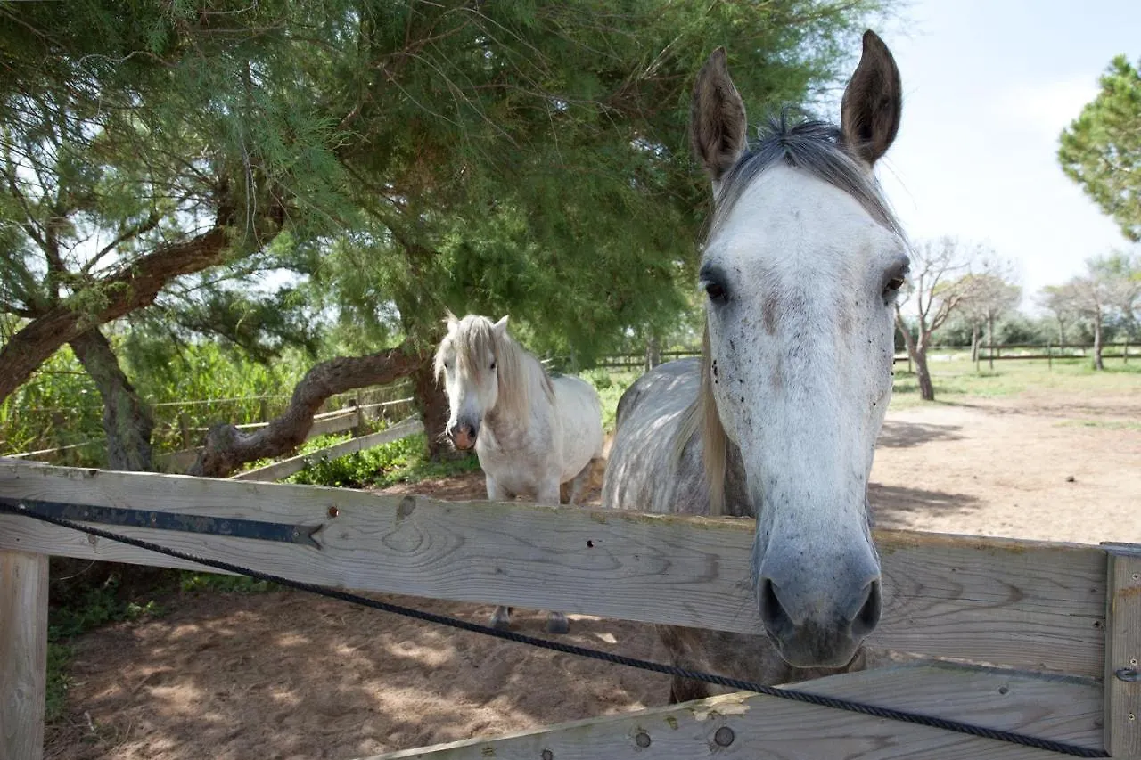 Gîtes Equestres Lou Caloun - Les Saintes Maries de la Mer