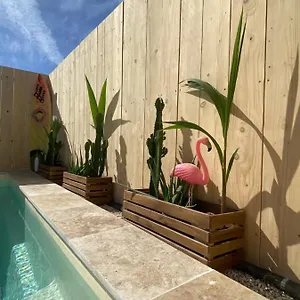  Hébergement de vacances Mas Des Oliviers, Maison Avec Piscine Privative Et Chauffee Locamargue